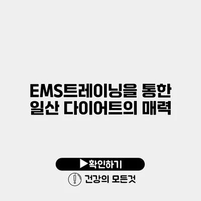 EMS트레이닝을 통한 일산 다이어트의 매력