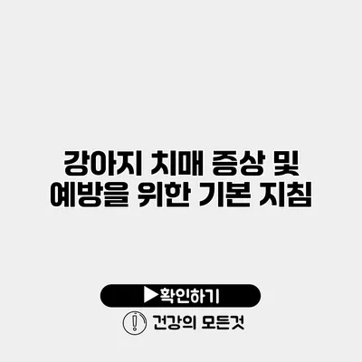 강아지 치매 증상 및 예방을 위한 기본 지침