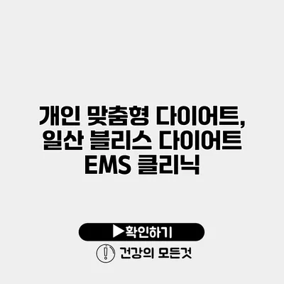 개인 맞춤형 다이어트, 일산 블리스 다이어트 EMS 클리닉