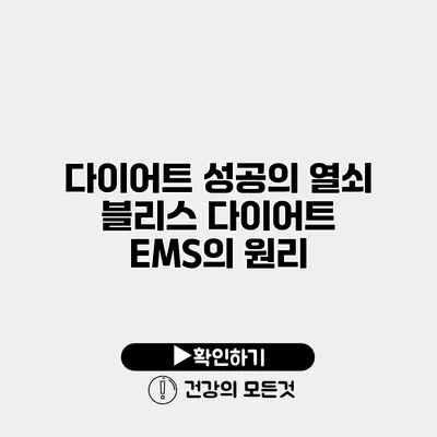 다이어트 성공의 열쇠 블리스 다이어트 EMS의 원리