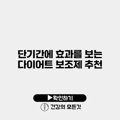 단기간에 효과를 보는 다이어트 보조제 추천