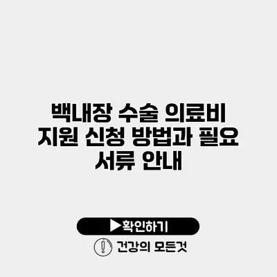 백내장 수술 의료비 지원 신청 방법과 필요 서류 안내