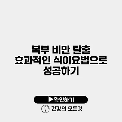 복부 비만 탈출 효과적인 식이요법으로 성공하기