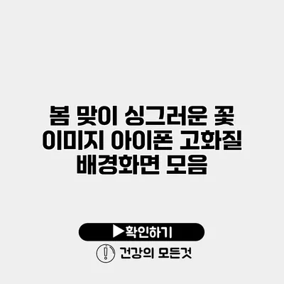봄 맞이 싱그러운 꽃 이미지 아이폰 고화질 배경화면 모음