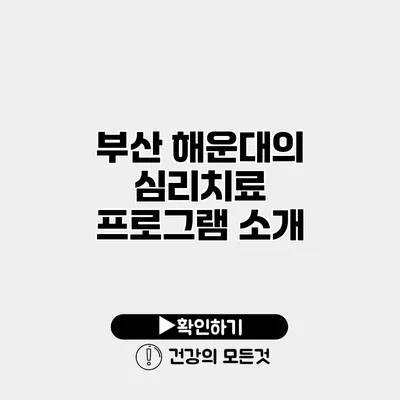 부산 해운대의 심리치료 프로그램 소개