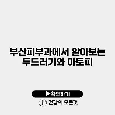 부산피부과에서 알아보는 두드러기와 아토피