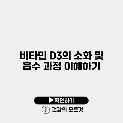 비타민 D3의 소화 및 흡수 과정 이해하기