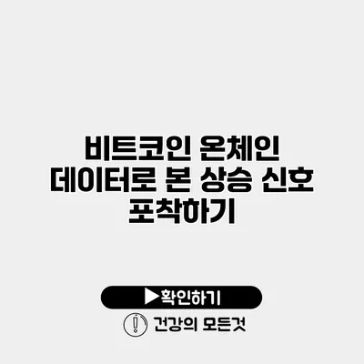 비트코인 온체인 데이터로 본 상승 신호 포착하기