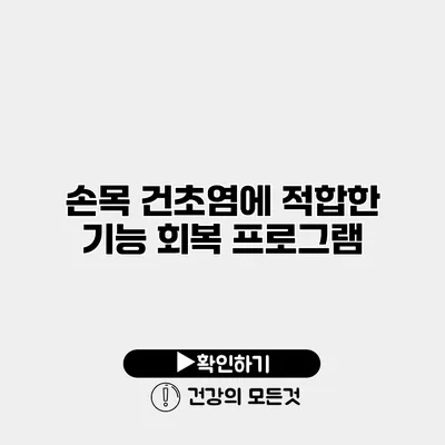 손목 건초염에 적합한 기능 회복 프로그램