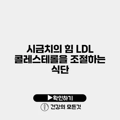 시금치의 힘 LDL 콜레스테롤을 조절하는 식단