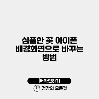 심플한 꽃 아이폰 배경화면으로 바꾸는 방법