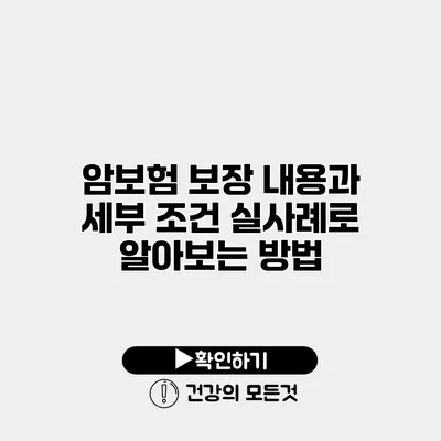 암보험 보장 내용과 세부 조건 실사례로 알아보는 방법