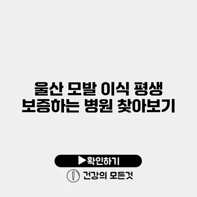 울산 모발 이식 평생 보증하는 병원 찾아보기