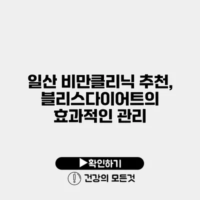 일산 비만클리닉 추천, 블리스다이어트의 효과적인 관리