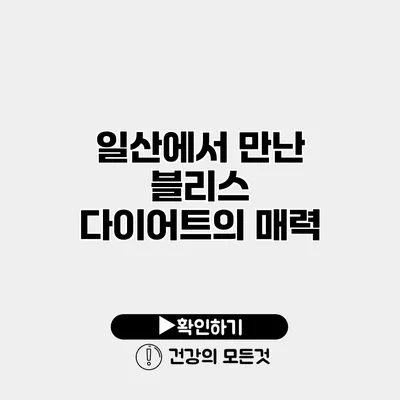 일산에서 만난 블리스 다이어트의 매력