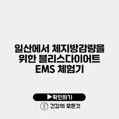 일산에서 체지방감량을 위한 블리스다이어트 EMS 체험기