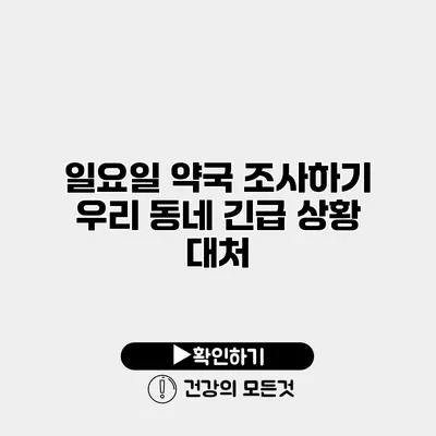 일요일 약국 조사하기 우리 동네 긴급 상황 대처