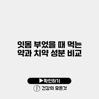 잇몸 부었을 때 먹는 약과 치약 성분 비교