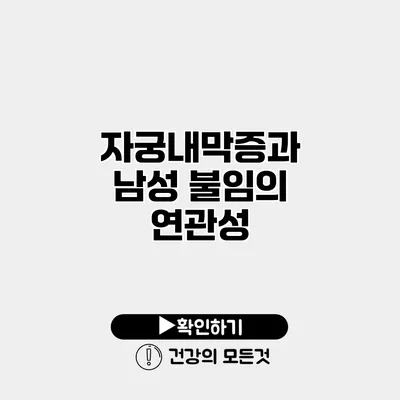 자궁내막증과 남성 불임의 연관성