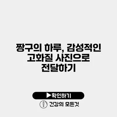 짱구의 하루, 감성적인 고화질 사진으로 전달하기