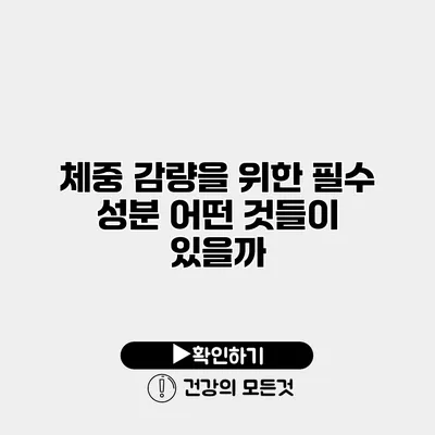 체중 감량을 위한 필수 성분 어떤 것들이 있을까?