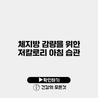 체지방 감량을 위한 저칼로리 아침 습관