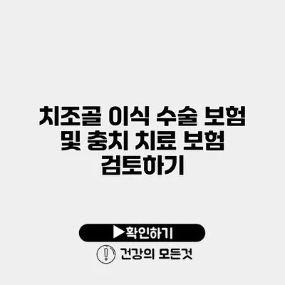 치조골 이식 수술 보험 및 충치 치료 보험 검토하기