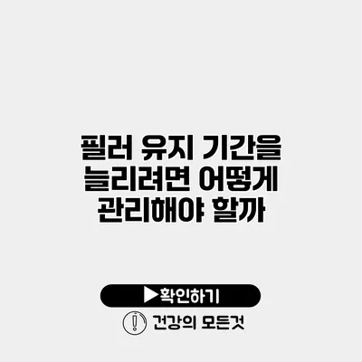 필러 유지 기간을 늘리려면 어떻게 관리해야 할까?