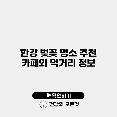 한강 벚꽃 명소 추천 카페와 먹거리 정보