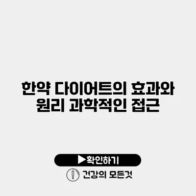 한약 다이어트의 효과와 원리 과학적인 접근