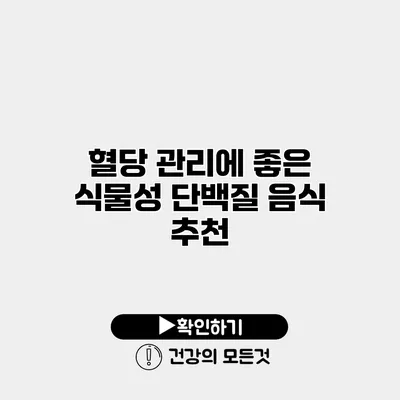 혈당 관리에 좋은 식물성 단백질 음식 추천