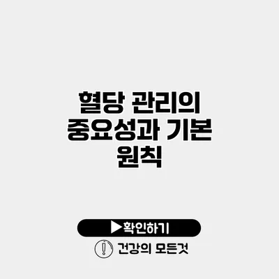 혈당 관리의 중요성과 기본 원칙