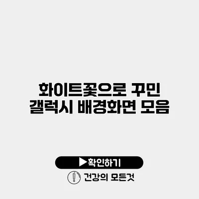 화이트꽃으로 꾸민 갤럭시 배경화면 모음