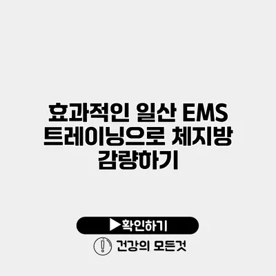 효과적인 일산 EMS 트레이닝으로 체지방 감량하기