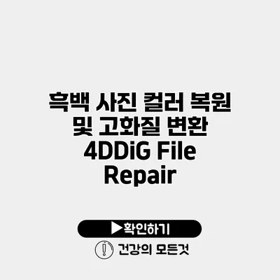 흑백 사진 컬러 복원 및 고화질 변환 4DDiG File Repair