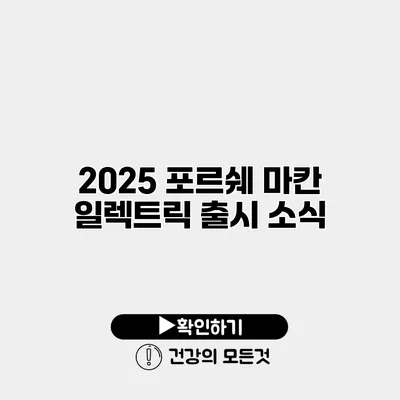 2025 포르쉐 마칸 일렉트릭 출시 소식