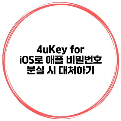 4uKey for iOS로 애플 비밀번호 분실 시 대처하기