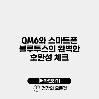 QM6와 스마트폰 블루투스의 완벽한 호환성 체크