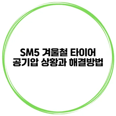SM5 겨울철 타이어 공기압 상황과 해결방법