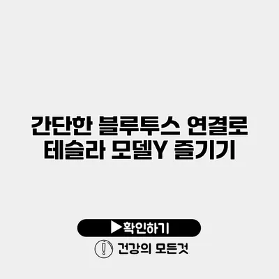 간단한 블루투스 연결로 테슬라 모델Y 즐기기