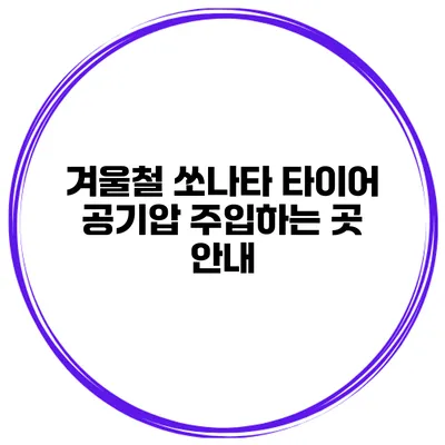겨울철 쏘나타 타이어 공기압 주입하는 곳 안내