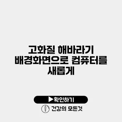 고화질 해바라기 배경화면으로 컴퓨터를 새롭게