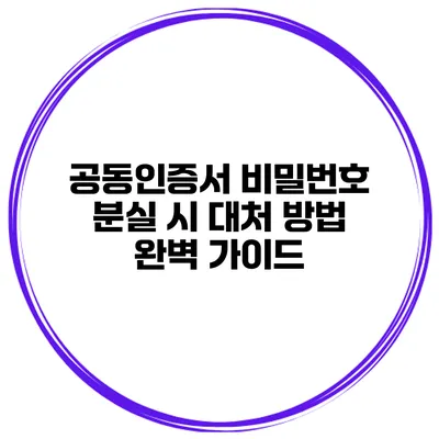 공동인증서 비밀번호 분실 시 대처 방법 완벽 가이드