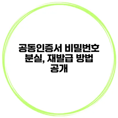 공동인증서 비밀번호 분실, 재발급 방법 공개