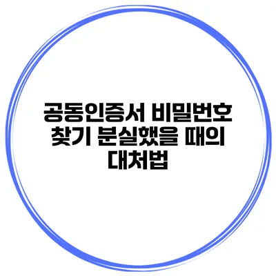 공동인증서 비밀번호 찾기 분실했을 때의 대처법