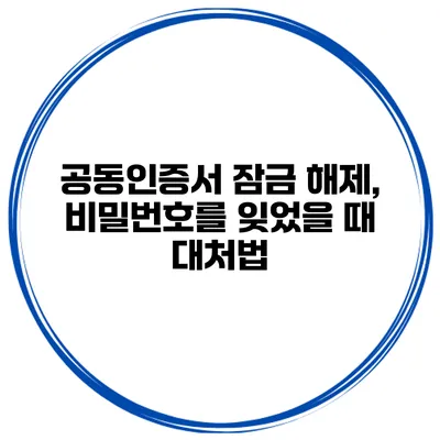공동인증서 잠금 해제, 비밀번호를 잊었을 때 대처법