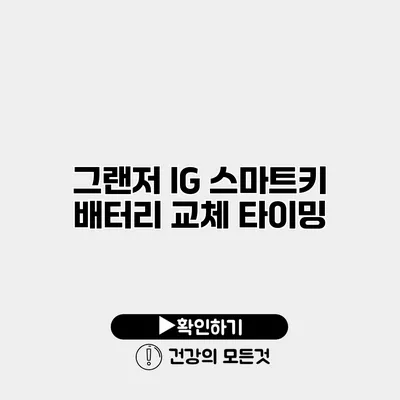 그랜저 IG 스마트키 배터리 교체 타이밍