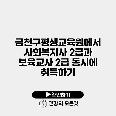 금천구평생교육원에서 사회복지사 2급과 보육교사 2급 동시에 취득하기