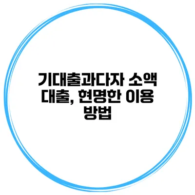 기대출과다자 소액 대출, 현명한 이용 방법