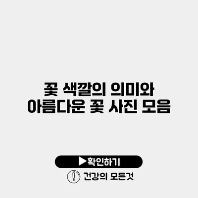 꽃 색깔의 의미와 아름다운 꽃 사진 모음